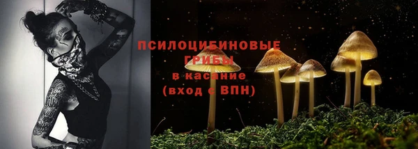 спайс Корсаков