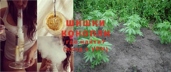 спайс Корсаков