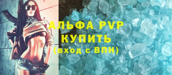 спайс Корсаков