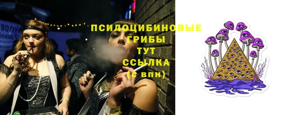 спайс Корсаков