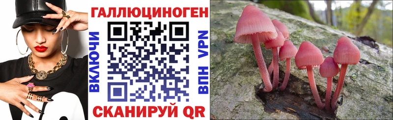 Псилоцибиновые грибы Magic Shrooms Крым